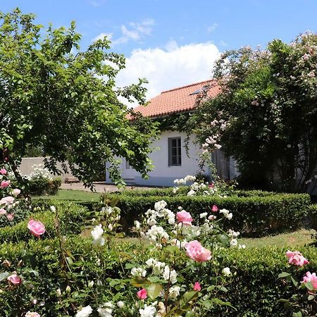 Monte Dos Papa Figos Hotel São Teotónio Buitenkant foto