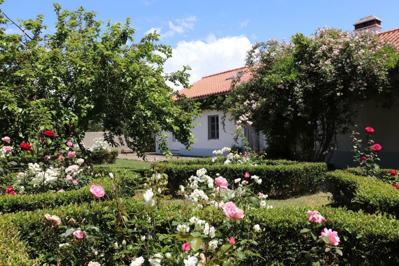 Monte Dos Papa Figos Hotel São Teotónio Buitenkant foto